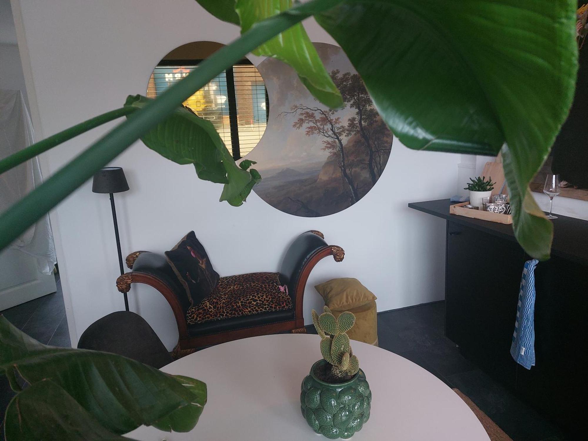 Rembrandtsbeachsuite 赞德沃特 外观 照片